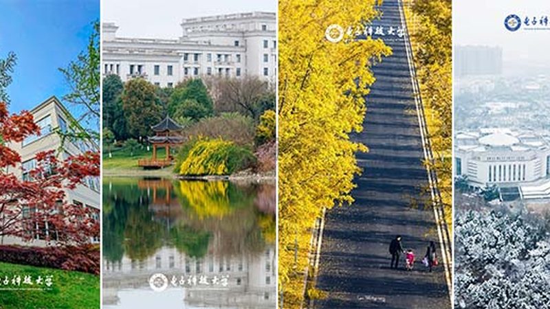 PCBA打样价格影响因素揭秘：揭秘成本构成与优化之道**